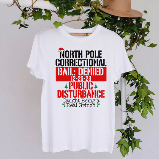 North Pole correction public disturbance