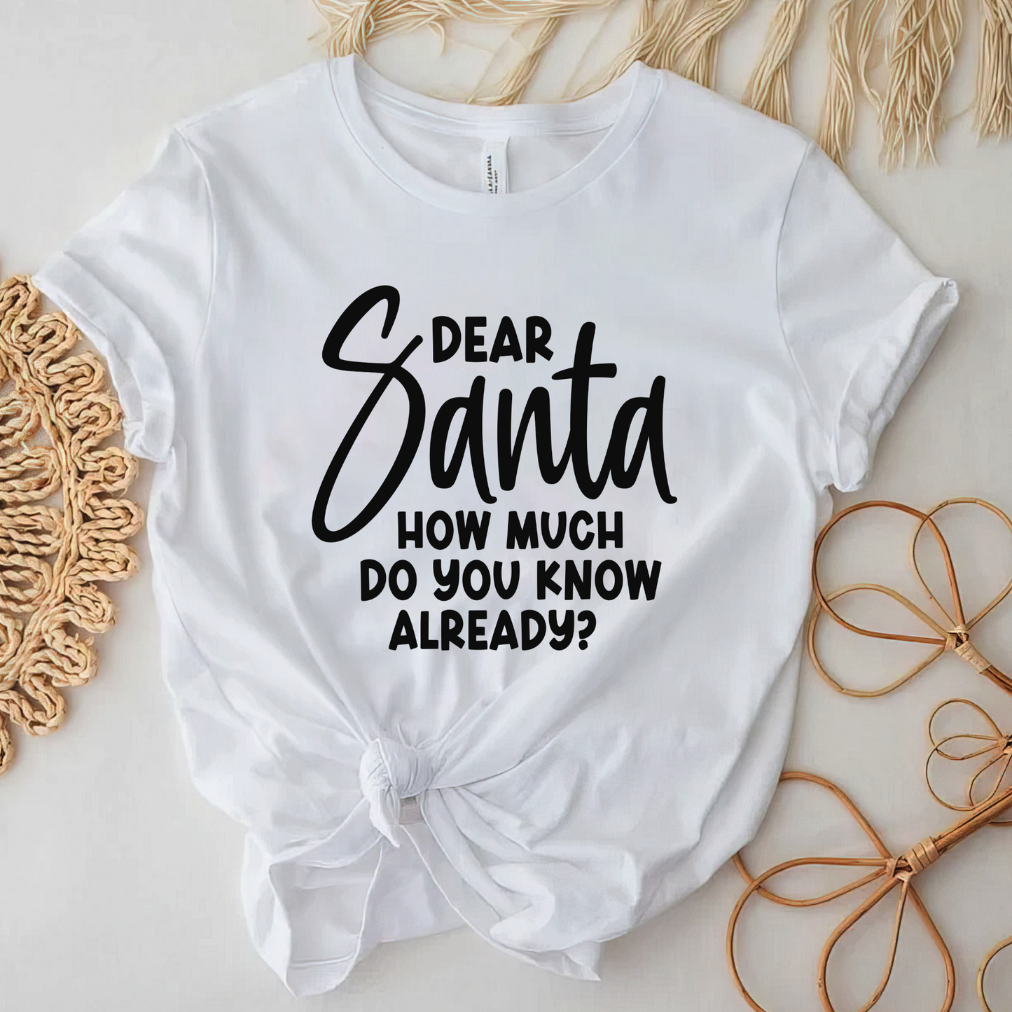 Dear Santa how much do you know?